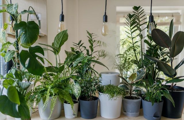 How To Build An Indoor Planter That Looks Built In of 2024